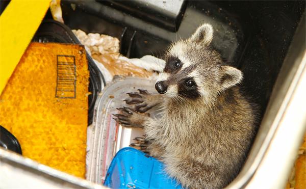 Keep trash cans sealed 
